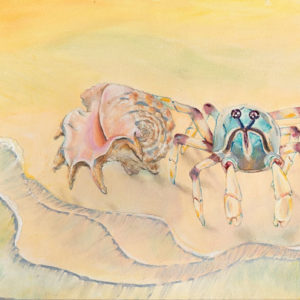 Behold, Soldier Crab!